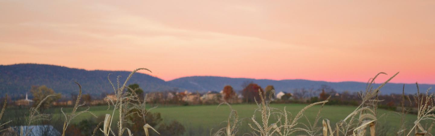 rural