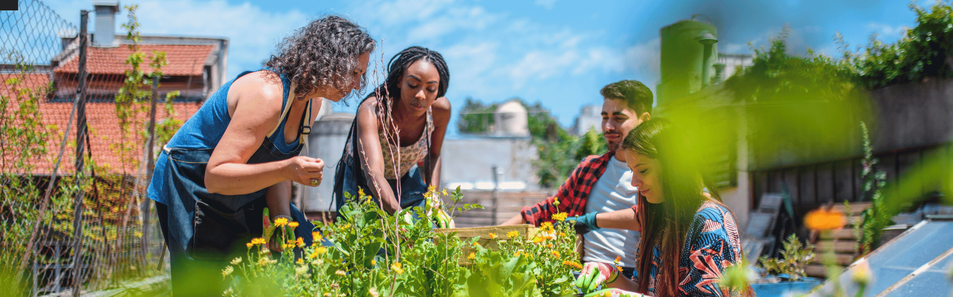 People gardening